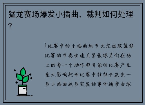 猛龙赛场爆发小插曲，裁判如何处理？